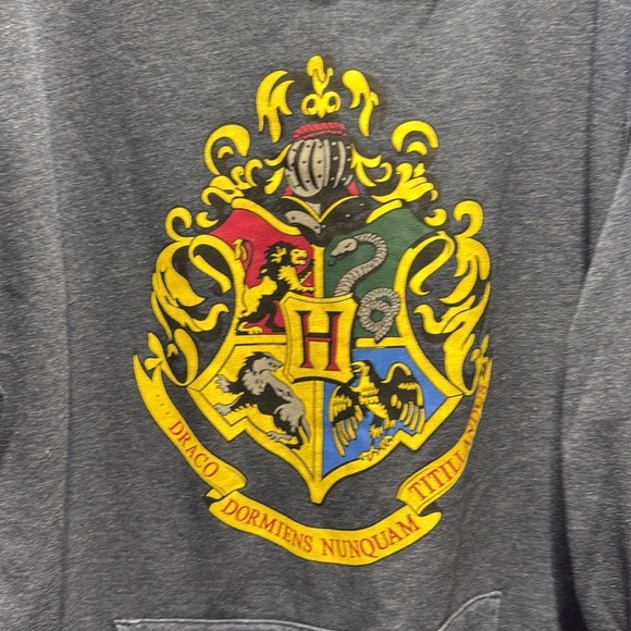 Harry Potter pullover hoodie size medium / large - Picture 5 of 9